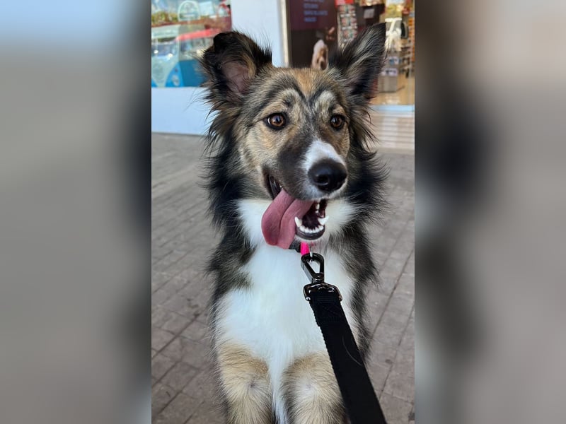 NALA – kleine verschmuste Lady