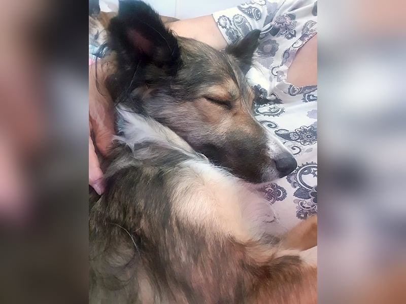 NALA – kleine verschmuste Lady