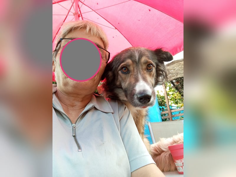 NALA – kleine verschmuste Lady