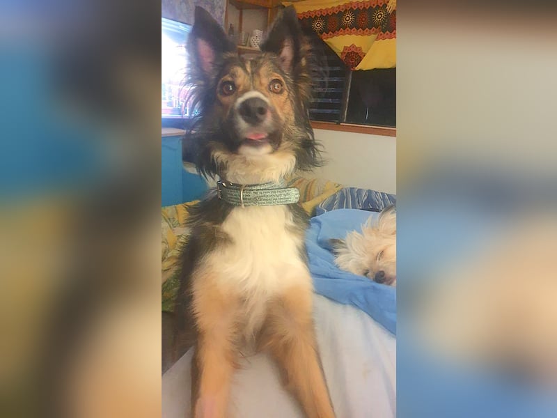 NALA – kleine verschmuste Lady