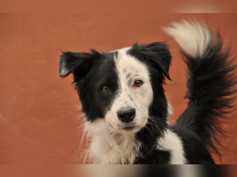 Zeigen Sie Bollero wie schön das Leben in einer Familie sein kann?