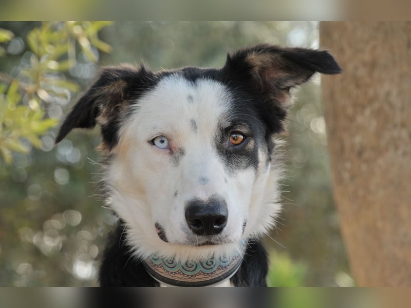 Möchtest du Belly zeigen, wie schön das Leben an der Seite eines Menschen sein kann?