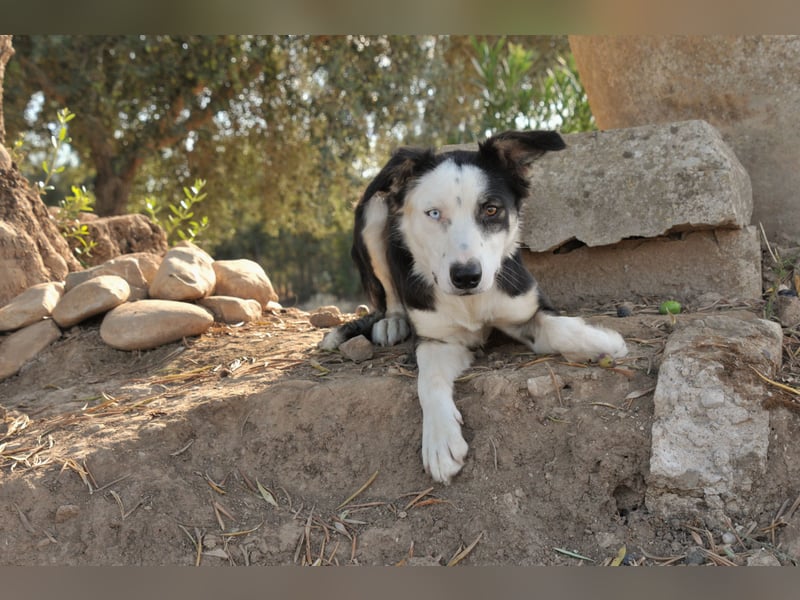 Möchtest du Belly zeigen, wie schön das Leben an der Seite eines Menschen sein kann?