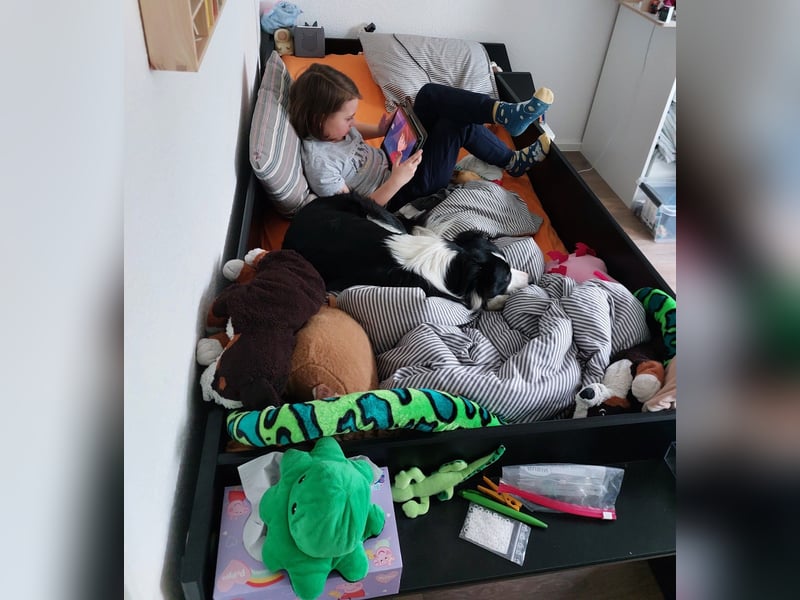 Sportliche & verschmuste Sky (Border-Collie-Mischling, w, 2J.) sucht neues Zuhause