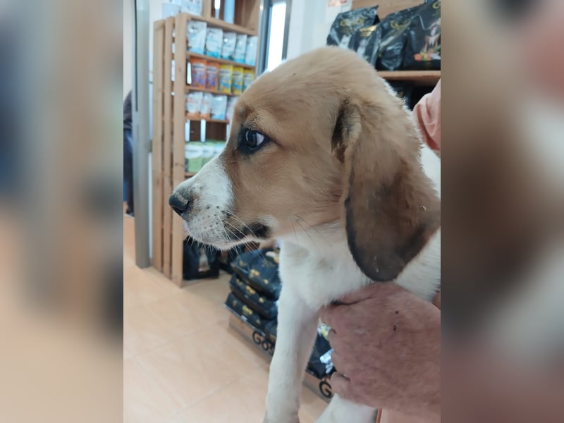Muss WILLOW alleine zurück bleiben ?