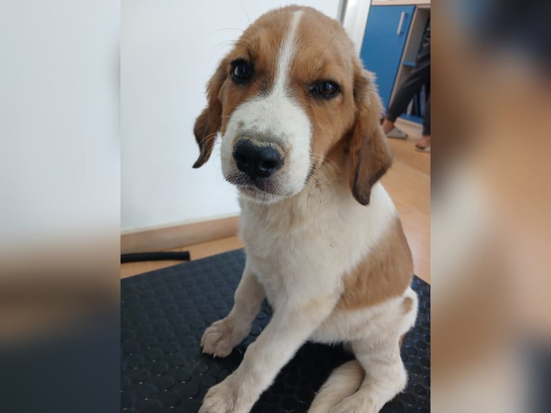 Muss WILLOW alleine zurück bleiben ?