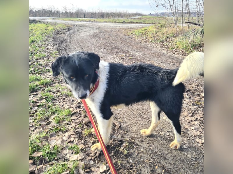 Lego ein absolut cooler Typ