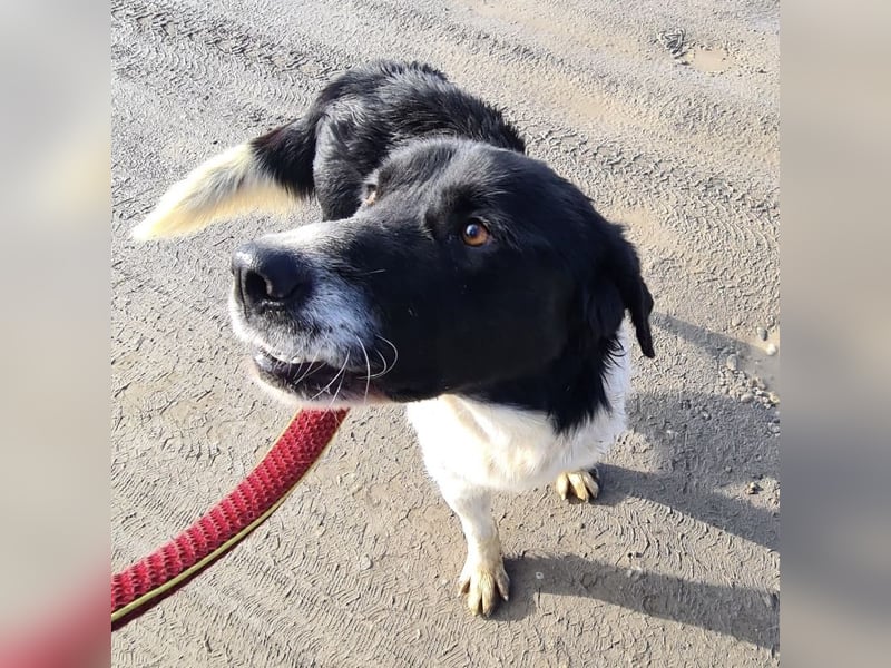 Lego ein absolut cooler Typ