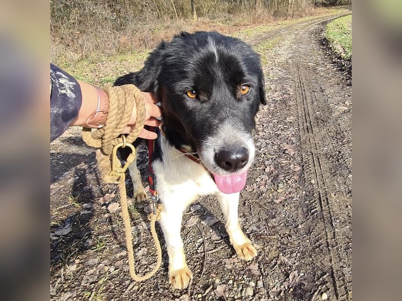 Lego ein absolut cooler Typ