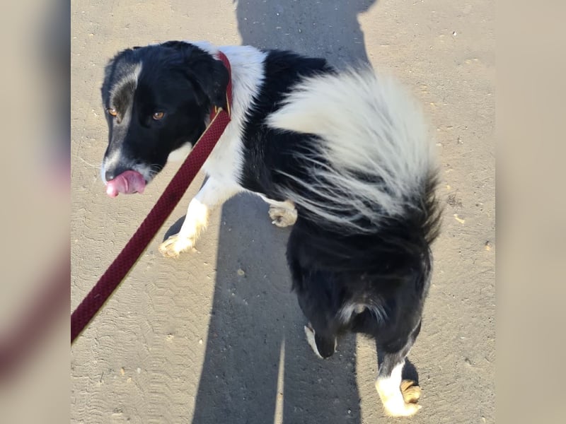 Lego ein absolut cooler Typ