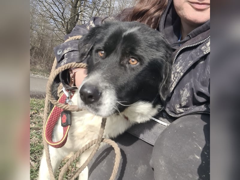 Lego ein absolut cooler Typ