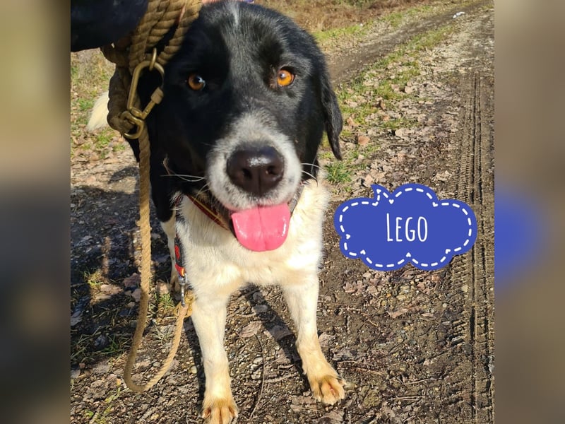 Lego ein absolut cooler Typ