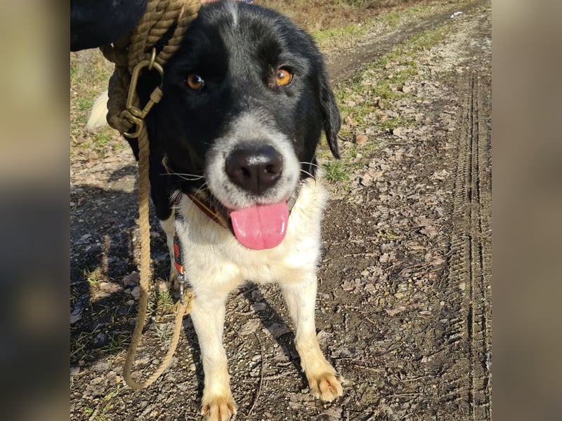 Lego ein absolut cooler Typ