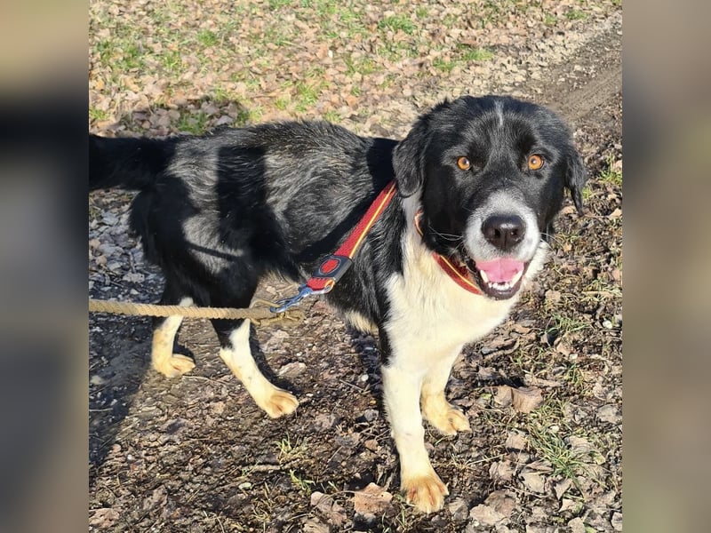 Lego ein absolut cooler Typ