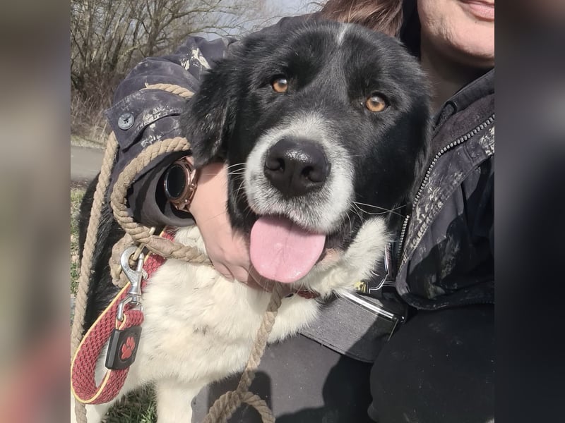 Lego ein absolut cooler Typ