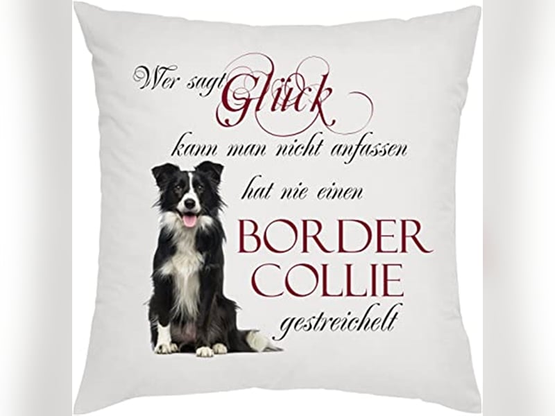 Verkaufe Reinrassige Border Collie Welpen