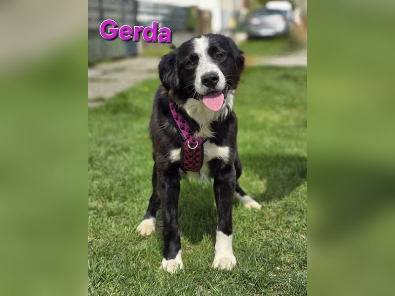 Gerda♥️