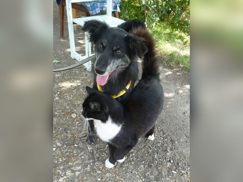 Hübsche Berta sucht ihre Menschen