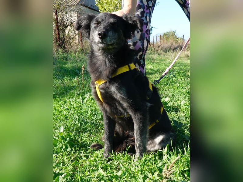 Hübsche Berta sucht ihre Menschen