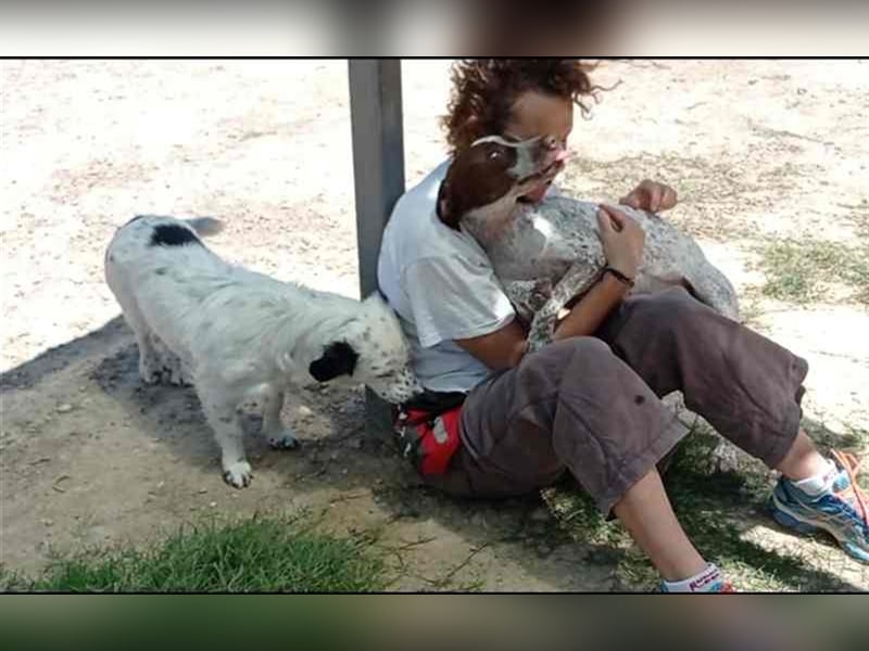 Bombón – der perfekte Name für unser Sunnygirl!
