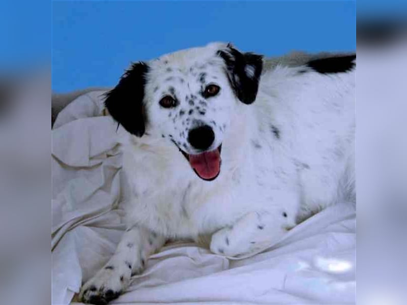 Bombón – der perfekte Name für unser Sunnygirl!