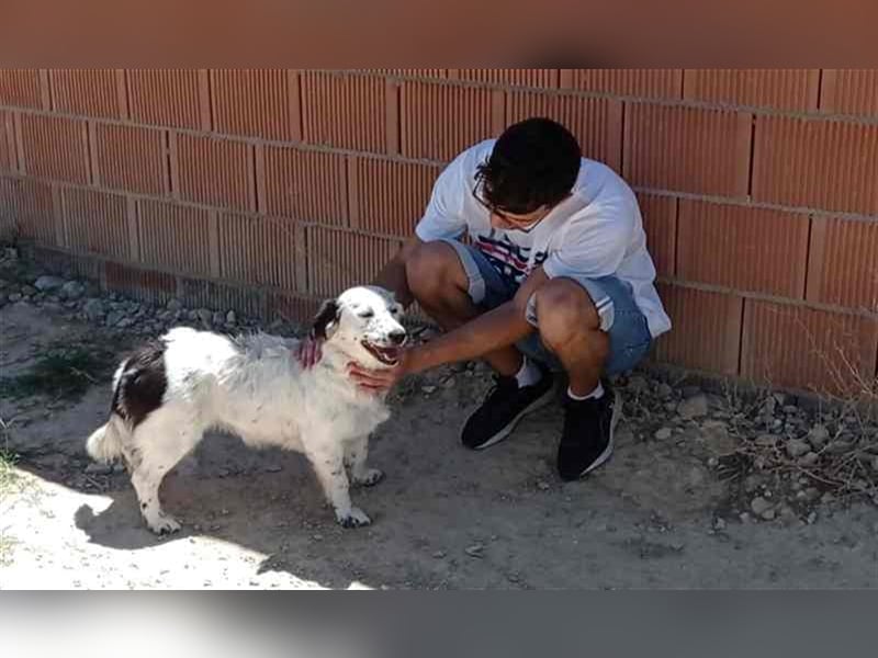 Bombón – der perfekte Name für unser Sunnygirl!