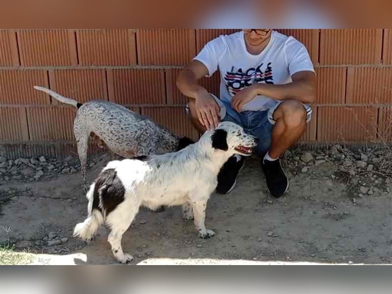 Bombón – der perfekte Name für unser Sunnygirl!