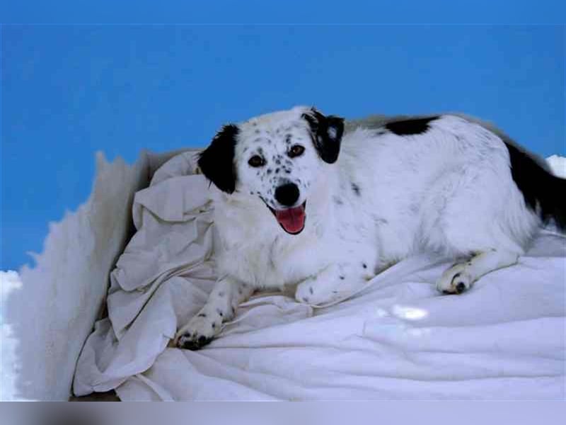Bombón – der perfekte Name für unser Sunnygirl!