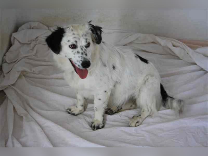 Bombón – der perfekte Name für unser Sunnygirl!