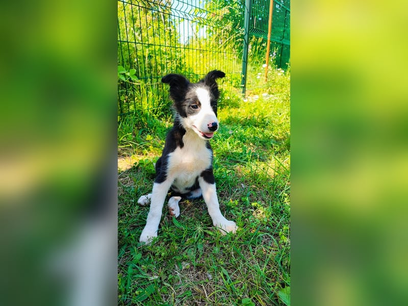 Tina sucht ihre Herzmenschen❤️
