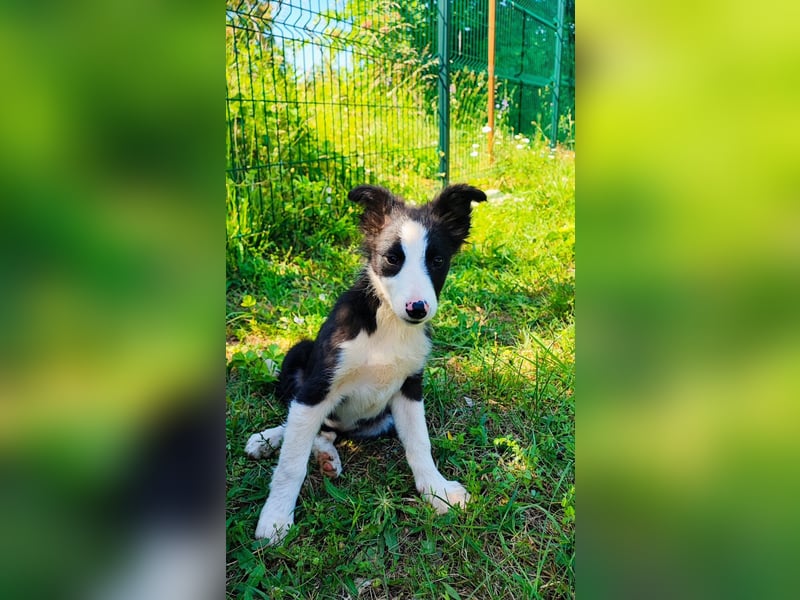 Tina sucht ihre Herzmenschen❤️