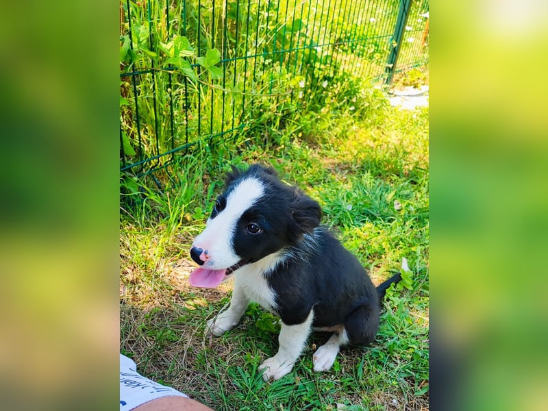 Tina sucht ihre Herzmenschen❤️