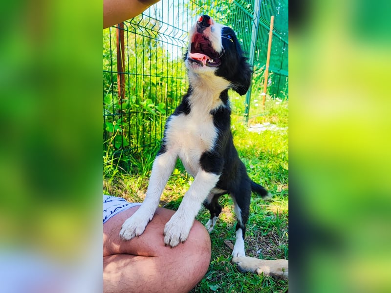Tina sucht ihre Herzmenschen❤️