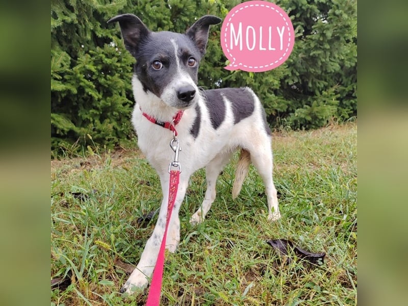 Zarte Seele Molly