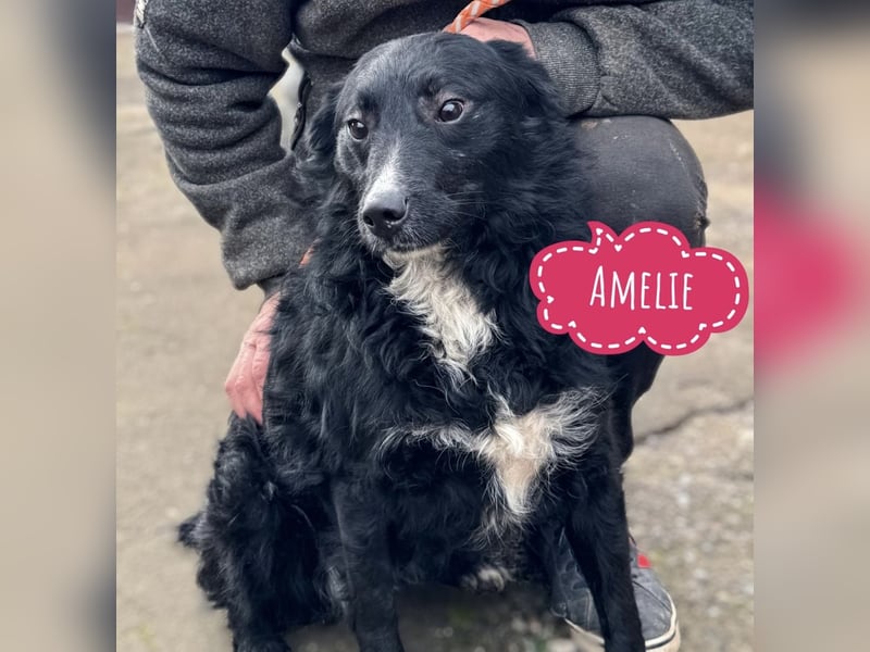 Amelie ein Traumwesen