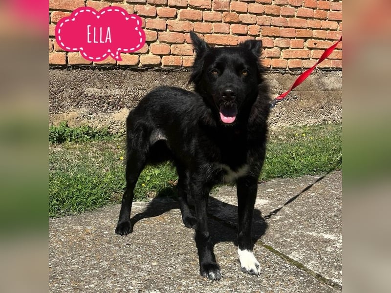 Ella will lieben und geliebt werden
