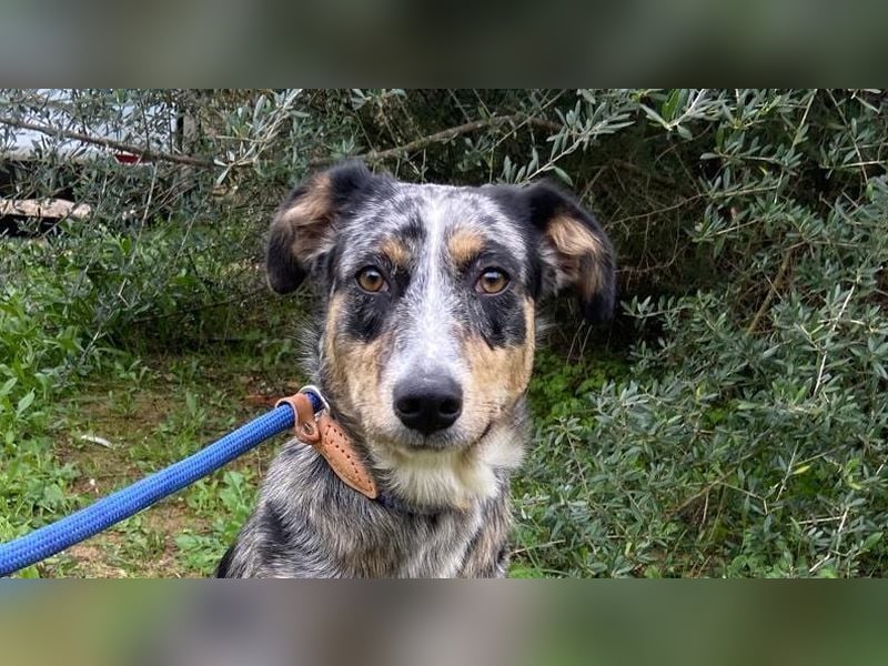 ANA-eine Seele von Sanftmut und Treue wartet auf ihr großes Glück. Bist du ihr Happy End?