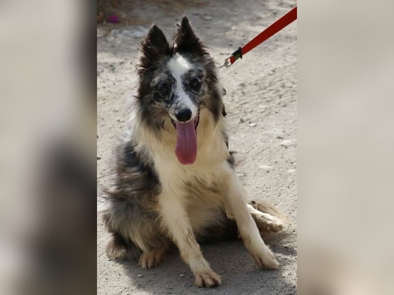 Daisy, freundlich, offen und ausmerksam