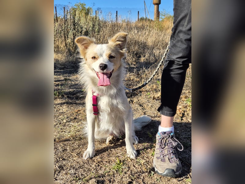 Sanfte Stina sucht Menschen mit Herz