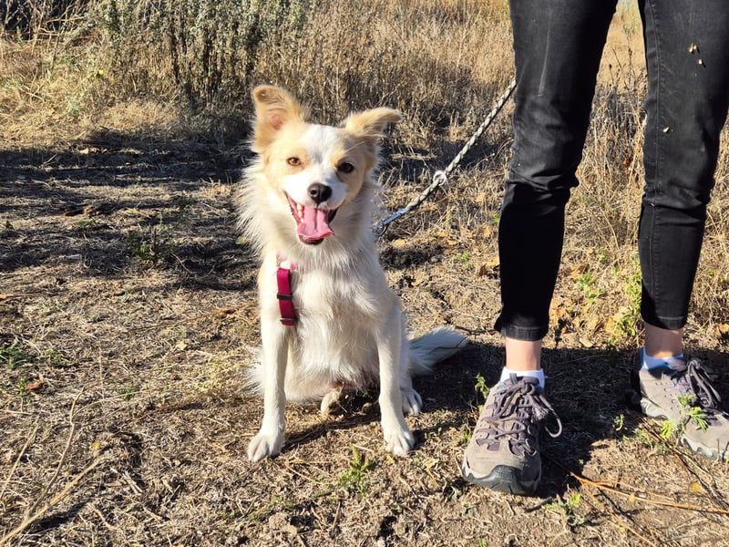 Sanfte Stina sucht Menschen mit Herz