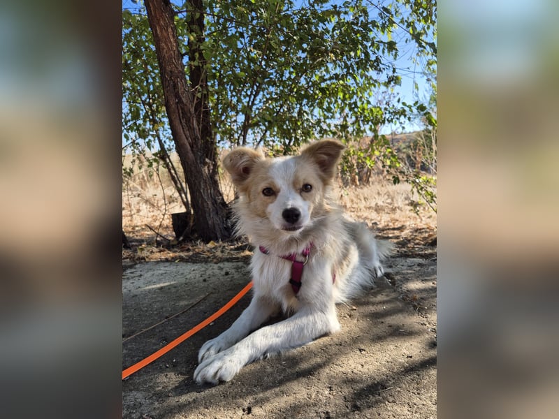 Sanfte Stina sucht Menschen mit Herz