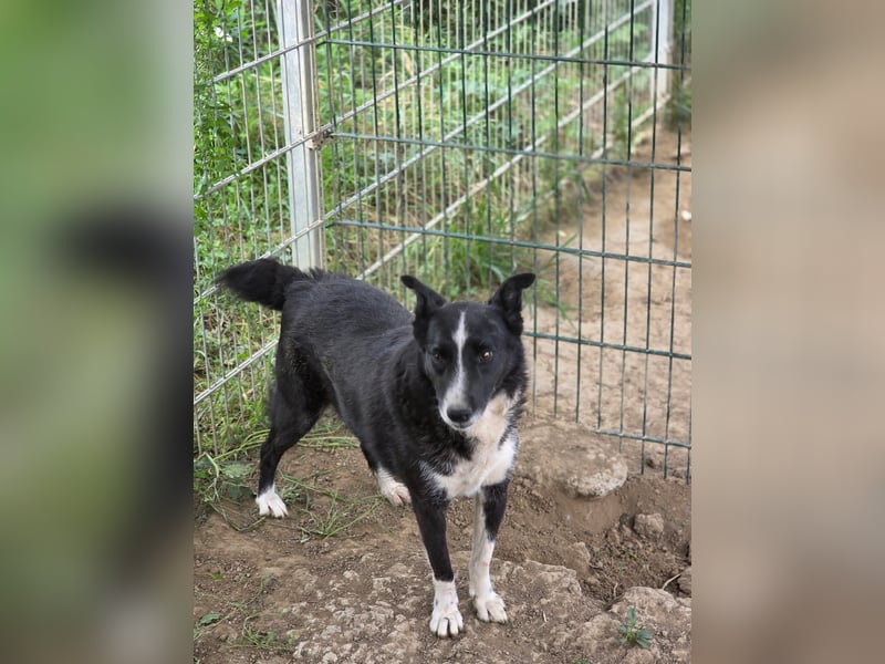 Susa - sucht aktive Menschen