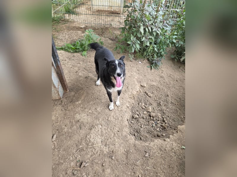 Susa - sucht aktive Menschen