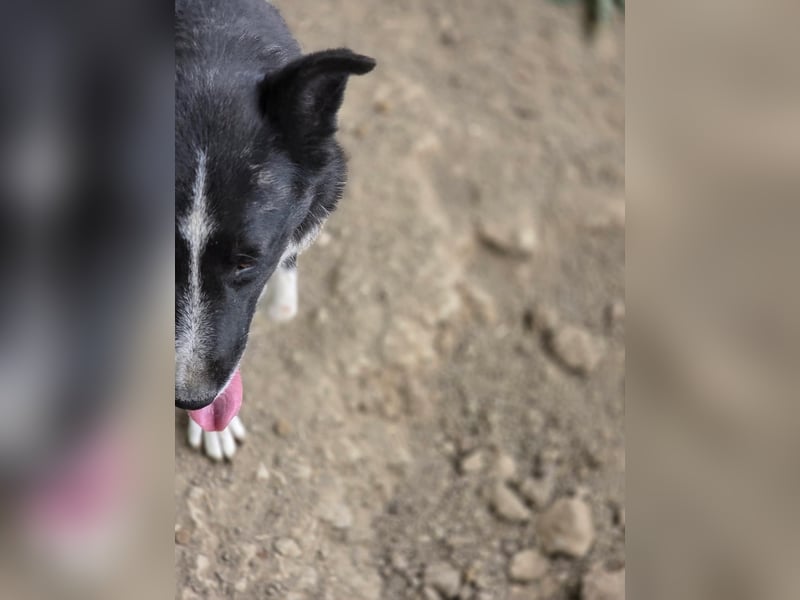 Susa - sucht aktive Menschen