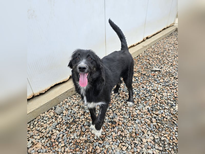 Pumba: kleines Herz sucht großes Glück