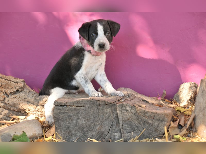 Bist du bereit, Bablo auf seinem Weg ins Leben zu begleiten?