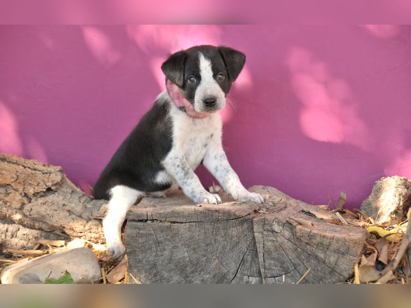 Bist du bereit, Bablo auf seinem Weg ins Leben zu begleiten?