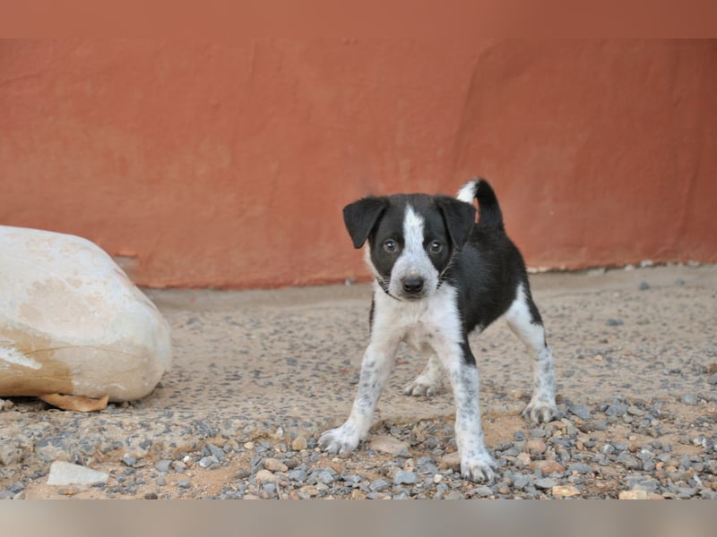 Bist du bereit, Bablo auf seinem Weg ins Leben zu begleiten?