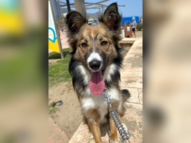 NALA – kleine verschmuste Lady NALA – kleine verschmuste Lady