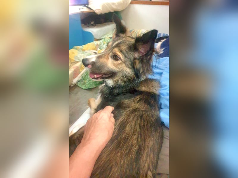 NALA – kleine verschmuste Lady NALA – kleine verschmuste Lady